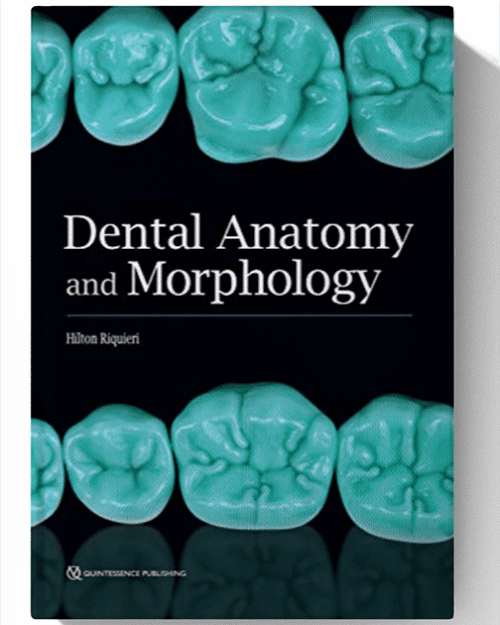 Dental Anatomy and Morphology 1st Edition